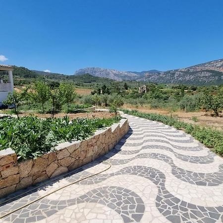 Villa Biriculi Dorgali Exterior photo
